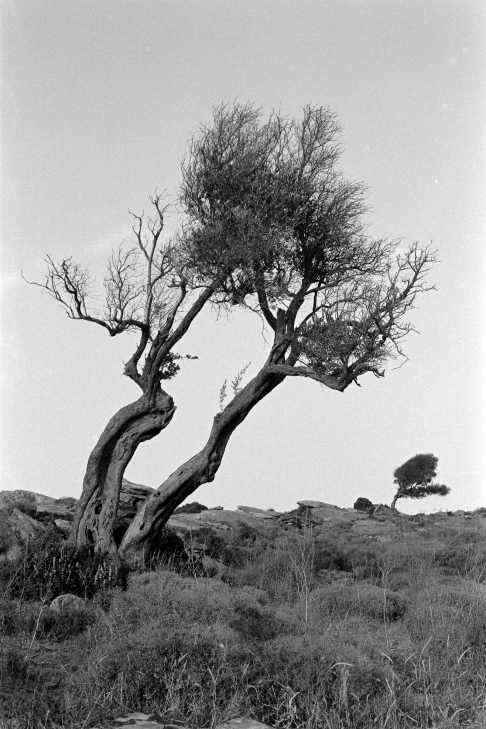 AHP F1991 09 005 sc250507 img13 NLP